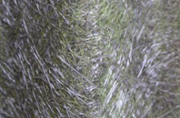 Crewgreen fibreglass roof work